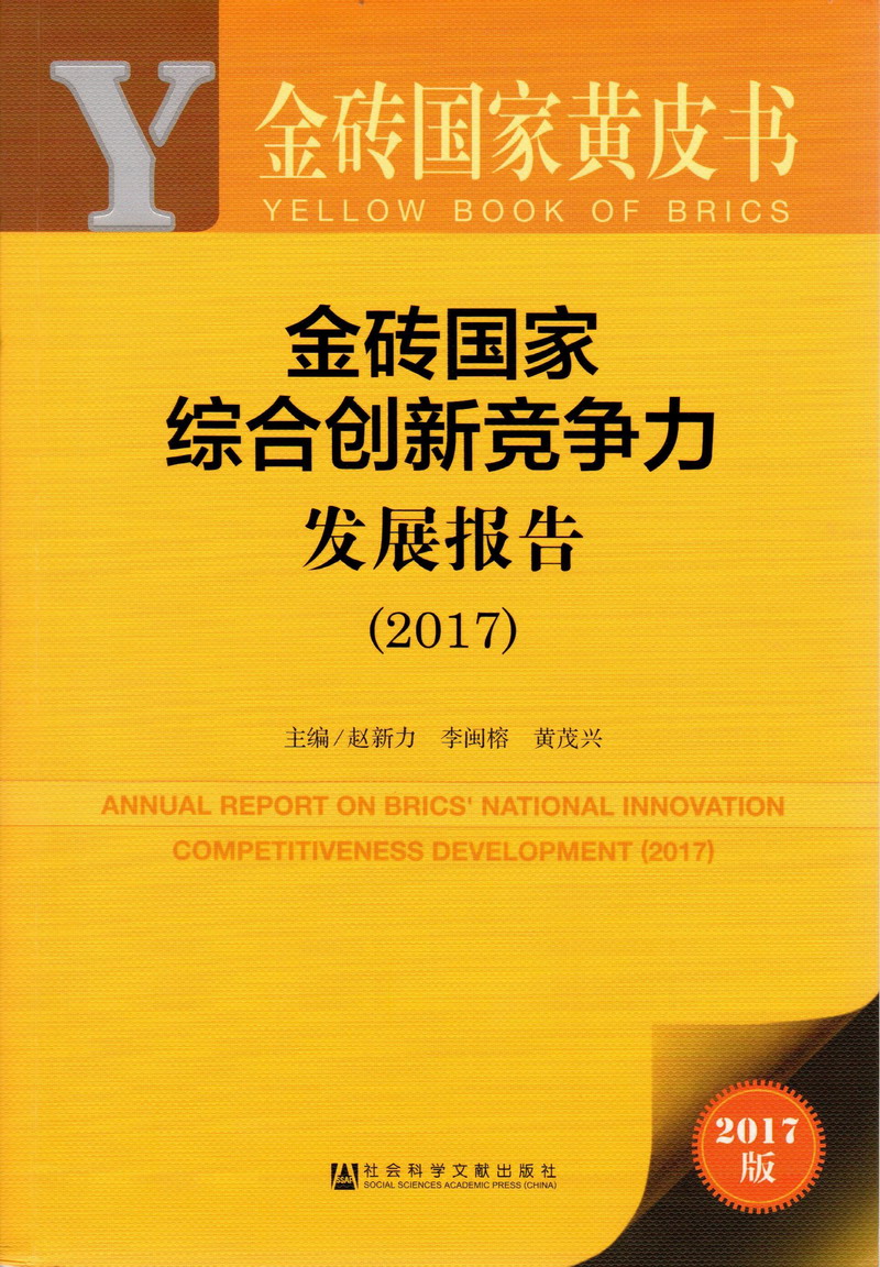 看大鸡巴操浪逼金砖国家综合创新竞争力发展报告（2017）